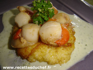 stjacques polenta ail