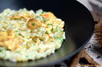 risotto aux champignons des bois